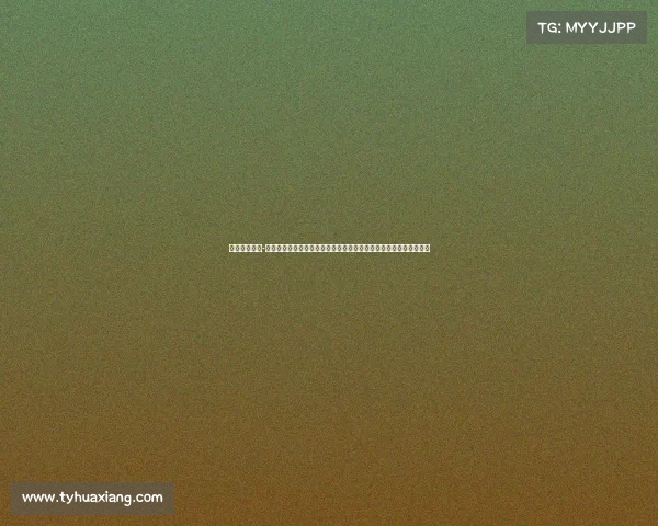 上海体育盛会-上海近期体育盛事高潮迭起申花上港德比激烈大鲨鱼主场连胜创纪录