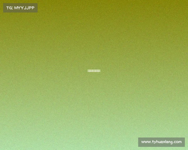 《竞放无名之星》